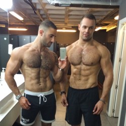 studposse:  musclegods 