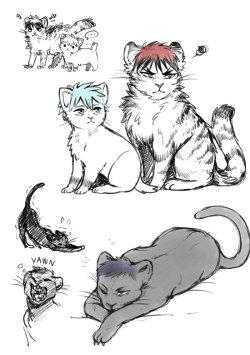 tikkilanka:  basketball kittens.BONUS: