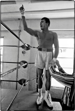  Muhammad Ali by Al Satterwhite 