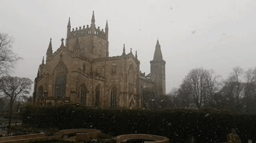 historiansecrets:Dunfermline Abbey, Scotland | 10/02/20