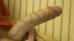 bitebienveinee:  Big veiny cock : more protrusions for more