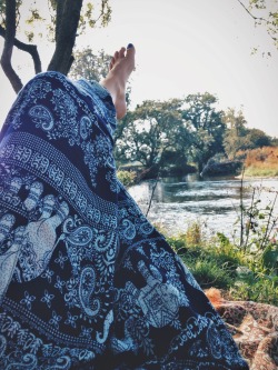 shyowl:  wisteria-spirit:  the river and my elephants   +