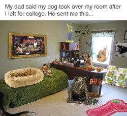 tastefullyoffensive:  Dad wasn’t lyin’. (via bwrighterp)