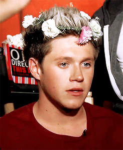  Niall looking very beautiful in his flower crown x      