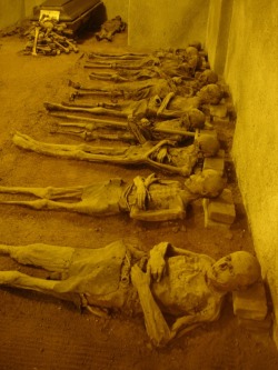 deathandmysticism:  Mummies at the crypt of the Capuchin monastery