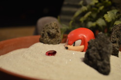 sonikkii:the—honorable:Looks like Knuckles found an emerald
