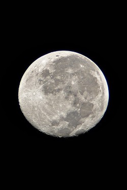 -fuckthisscene:  Our Moon by dingopup 