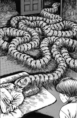 my-apogee:  Junji Ito 