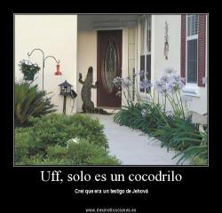 jaidefinichon:  testigos ql siempre joden 