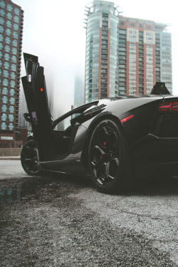 classyhustler:  Lamborghini Aventador | photographer 