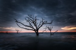 photorator:  Boneyard Beach South Carolina 