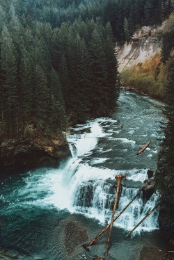 ponderation: Caption This by Nick Verbelchuk     Photographer’s Website