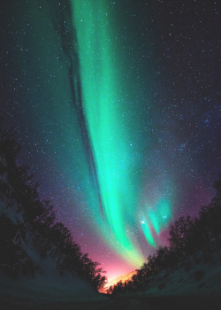 space-wallpapers:  Aurora Borealis  (phone)Click the image to