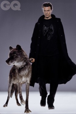 gothiccharmschool:  heroinsight:  David Bowie with wolves, October,