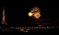 inhiseyesimbeautiful:  Fireworks in Paris ❤