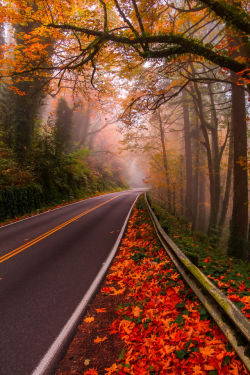 woodendreams:  Germantown Road, Portland, US (by Mandar Deshpande)