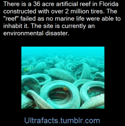 ultrafacts:It is called the Osborne Reef, located off the coast