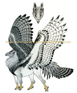 pallanophblargh:  Here’s the second of the Surprise Harpy Duo: