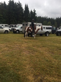 Horse show and a delicious elk burger off the local food truck,
