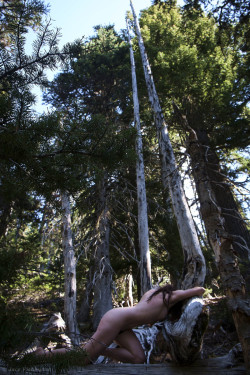 jacsfishburne:  Katlyn (May 28, 2015 | Olympic National Park,