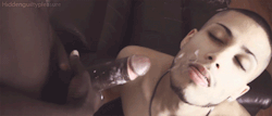 cummorecum