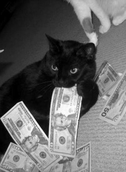 ALL pussy loves cash!
