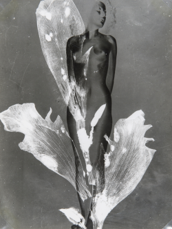 thegreatinthesmall:    PIERRE BOUCHER (1908-2000)Femme Fleur,