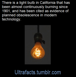 ultrafacts:    The Centennial Light is the world’s longest-lasting