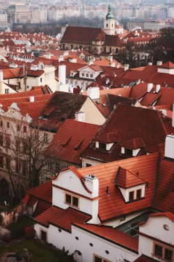 helena-goddard:Rooftops