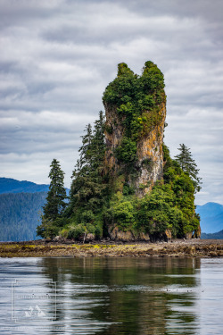 fentonphoto: New Eddystone Rock, an old lava tube located in