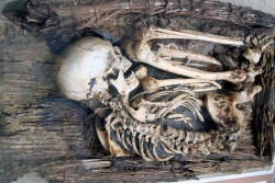 poisonwasthecure:  “Skeleton in the remains of a basketwork