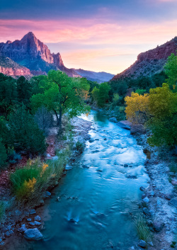 coiour-my-world:  The Watchman - Zion National Park, Utah 