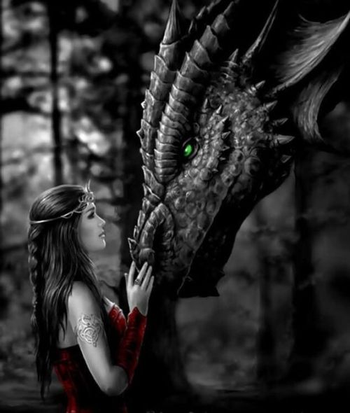 lostkygal:  ❤🌹❤….
