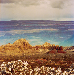 southdonerose:  “Arizona Two Times” - Double Exposure: Petrified