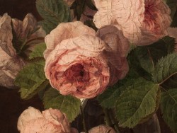 simena:  Jan Frans van Dael (detail) 