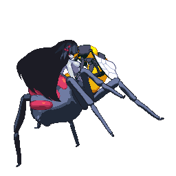 Busty spider monster girl arachne getting fucked by a wasp, not