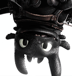 thingols:  Toothless being the absolutely cutest dragon in the