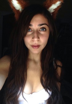 intoxifaded:  being a fox hbu 