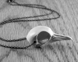 w-ormboy:  GIVEAWAY #2  Small real bone necklace (bird bone).