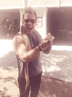 Dame Jericho! That’s a huge snake! ;)