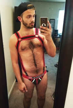 wolfysuxx:Hoe In A Harness™