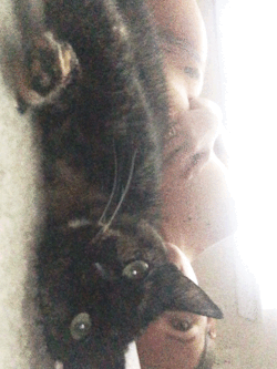 bellusterra:  Always wants to snuggle.