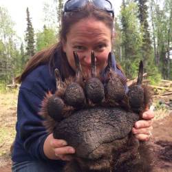sixpenceee:  The paw of a Grizzly bear compared to a person,