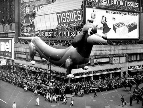 blondebrainpower:1950 The Dachshund Macy’s Thanksgiving Parade