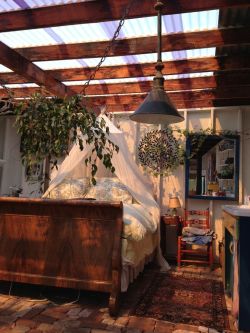 wildbindi:  Perfect Sunlit Roof 