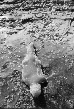 iconophages:  Anna Mendieta. Siluetas 