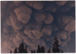 coolthingoftheday:Different types of clouds.1. Mammatus clouds2.