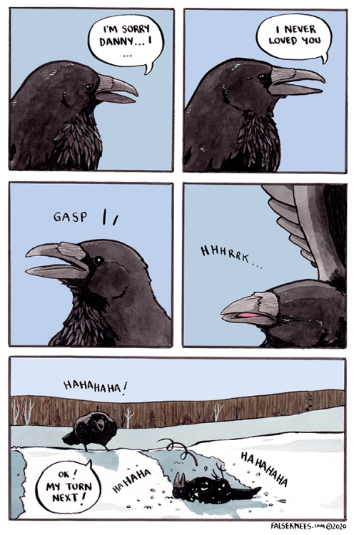 falseknees: Good clean fun