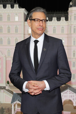 verysherry:  Jeff Goldblum attends ‘The Grand Budapest Hotel’