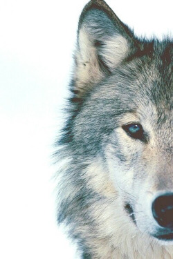 Me. So yours.